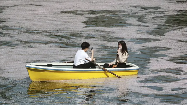 FOTO: Menikmati Sakura Sambil Mendayung Perahu