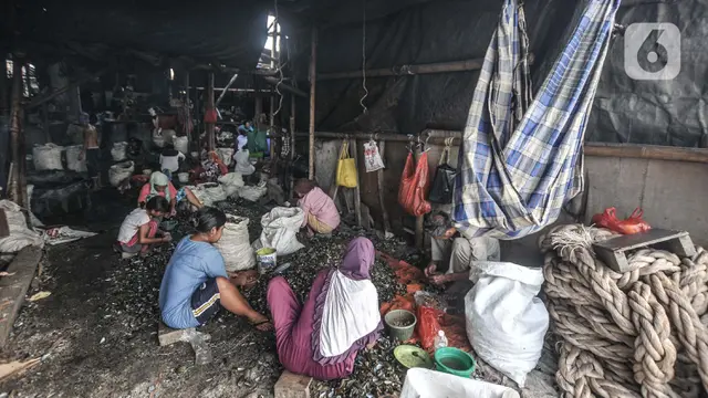 Geliat Pengupas Kerang Hijau di Utara Jakarta
