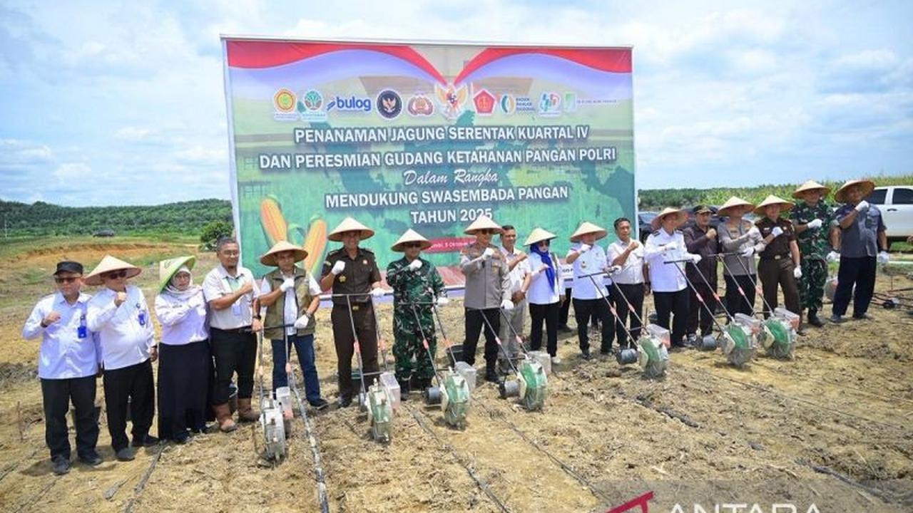 Panen 5 Ton Jagung! Perusahaan Sawit PT Brahma Binabakti Kuatkan Ketahanan Pangan Jambi, Dukung Program Nasional