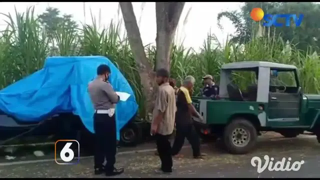 Mobil bak terbuka yang membawa 14 orang menabrak pohon di Jalan Raya Wringin Anom, Kabupaten Malang, Jawa Timur. Sejumlah korban terbaring di jalan dan terpental ke parit, sementara pengemudinya terjepit di badan mobil yang ringsek.