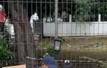 Viral Momen Bocah Jualan Ditemani Sang Kakek, Bahagia saat Dagangannya Diborong