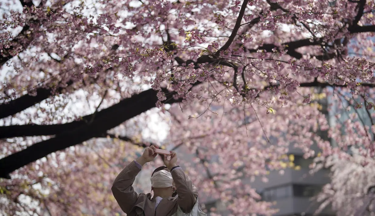 Seorang perempuan yang mengenakan masker mengambil foto bunga sakura musiman di Taman Ueno, Tokyo, Jepang pada 24 Maret 2022. Taman Ueno merupakan salah satu tempat menikmati mekar Bunga Sakura paling populer di Tokyo. (AP Photo/Eugene Hoshiko)