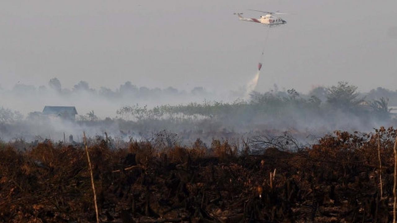 Aksi Jokowi tinjau langsung kebakaran hutan di Kalimantan