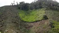 Sebuah rumah petani dibangun di lokasi perambahan hutan untuk membuka lahan baru di salah satu kawasan perbukitan, Kecamatan Jagong Jaget, Kabupaten Bener Meriah, Provinsi Aceh. (Antara)