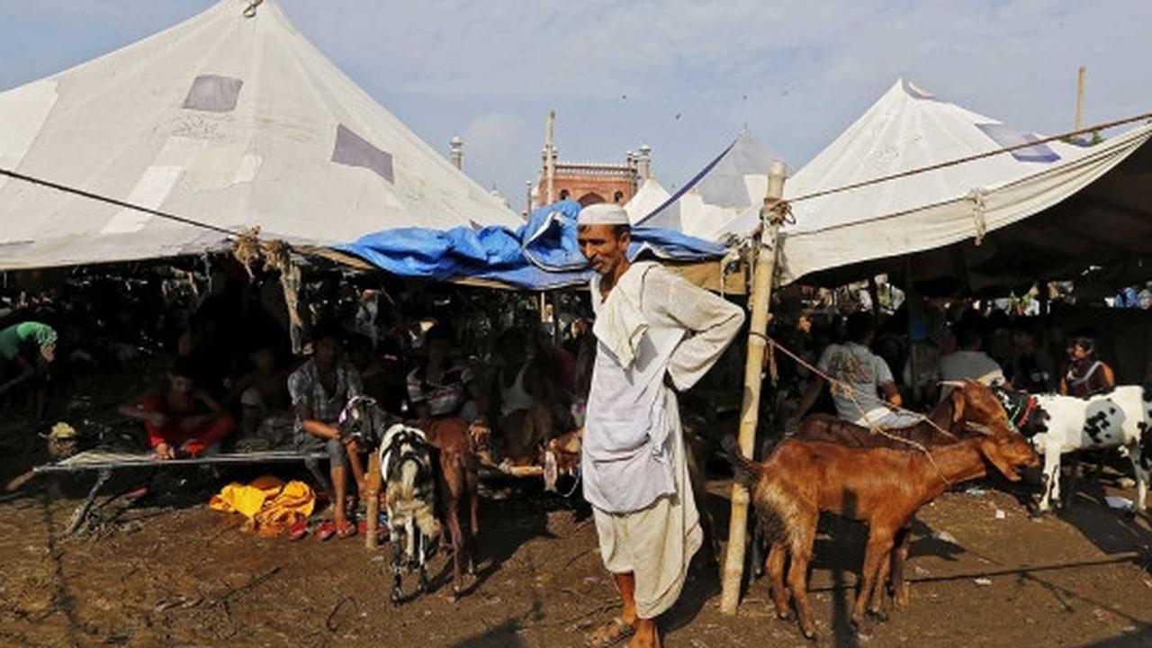 Menengok padatnya pasar hewan kurban di India