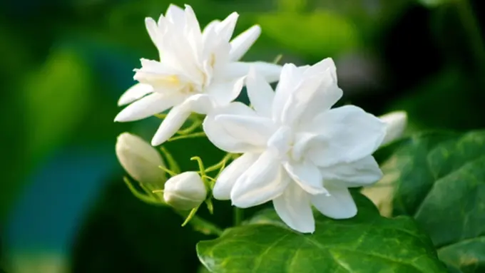 Copyright by Thinkstock.com