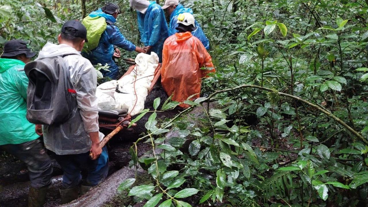 Korban langsung dibawa ke puskesmas terdekat untuk mendapatkan perawatan medis. Saat itu, korban sedang mengikuti open trip bersama sekitar 20 orang lainnya yang melakukan pendakian di Gunung Kerinci.