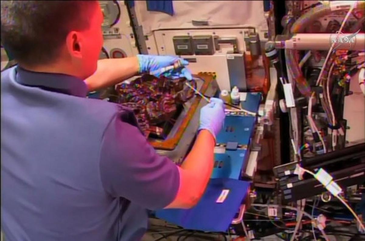 Mengintip astronot makan sayuran hasil tanam di luar angkasa