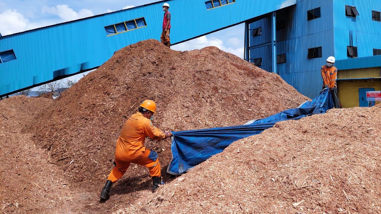 PLN berhasil melakukan uji coba penggunaan 75 persen biomassa Woodchips (kepingan kayu) untuk bahan bakar pengganti batu bara (cofiring) di PLTU Bolok dengan kapasitas 2x16,5 Megawatt (MW) di Kupang, Nusa Tenggara Timur (NTT). (Dok PLN)