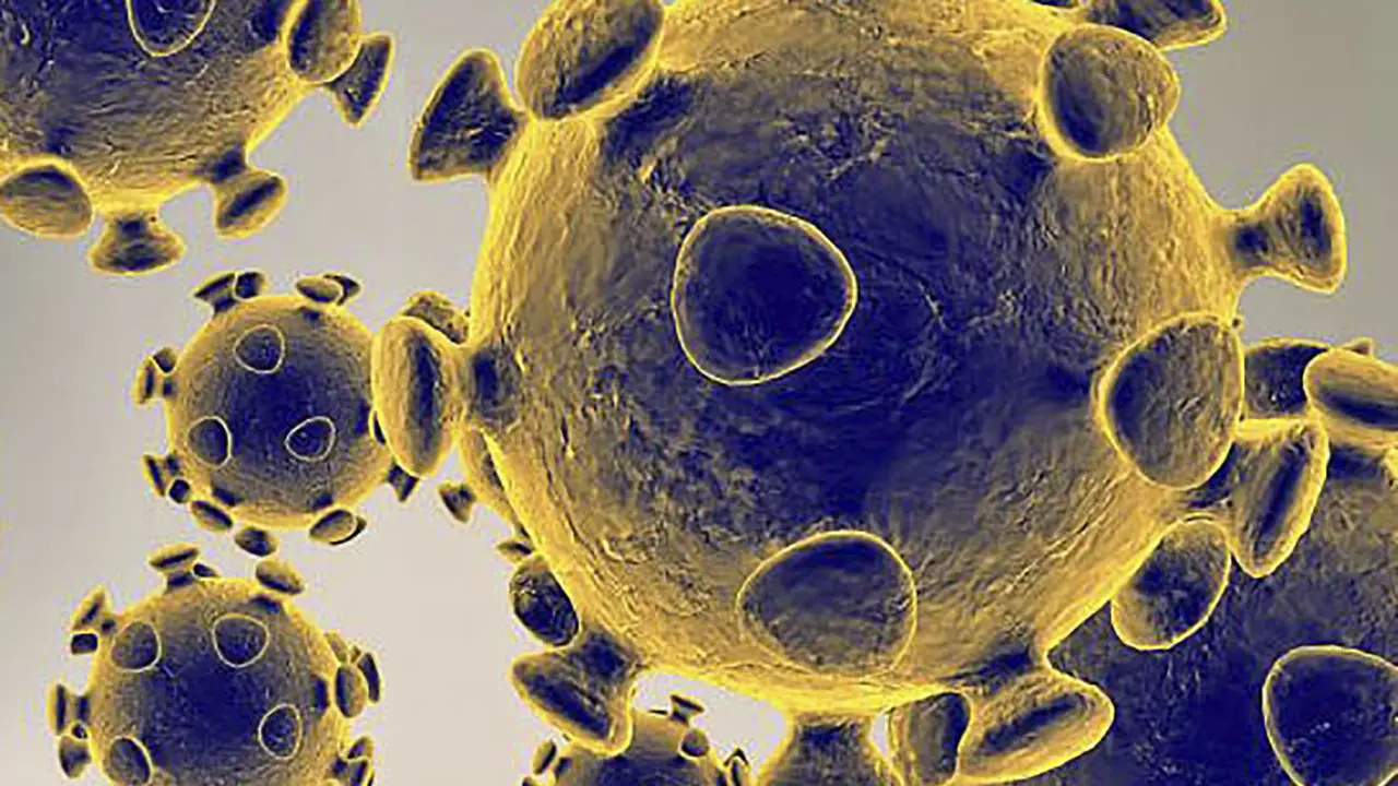 Gambar ilustrasi diperoleh pada 27 Februari 2020 dengan izin dari Food and Drug Administration AS menunjukkan Virus Corona COVID-19. (US Food and Drug Administration/AFP)
