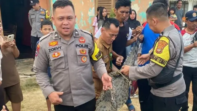 Buaya Liar Tiba-tiba Muncul di Permukiman Warga Lampung Utara