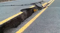 Kisah WNI Selamat Gempa Alaska: Saya Syok, Gemetaran dan Trauma...