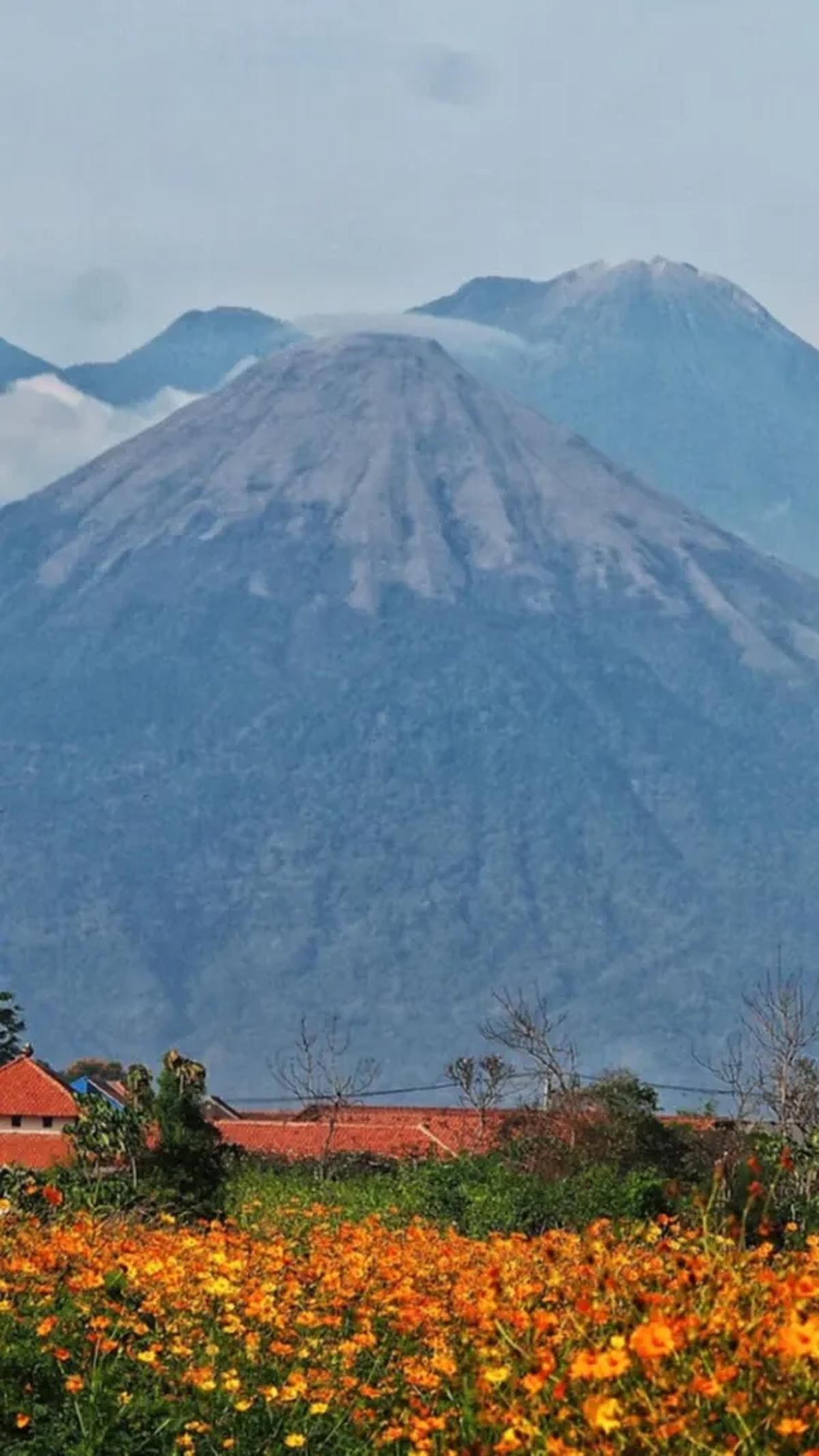 Tak hanya itu, di Gunung yang menjadi petilasan Kerajaan Majapahit ini, ada Pasar Dieng yang juga dikenal dengan pasar hantu. Ketika mendaki Gunung Arjuno ada beberapa aturan yang harus dipatuhi, yaitu tidak boleh mendaki dalam jumlah ganjil dan tidak bol