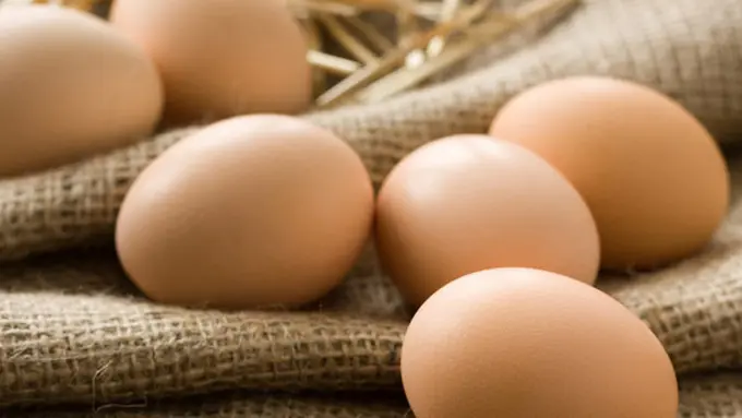 Foto: Copyright Shutterstock.com