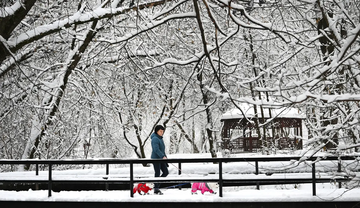Seorang wanita berjalan dengan anjingnya di antara pohon-pohon yang tertutup salju setelah hujan salju lebat di Moskow, Rusia pada Selasa (14/12/2021). (Alexander NEMENOV / AFP)