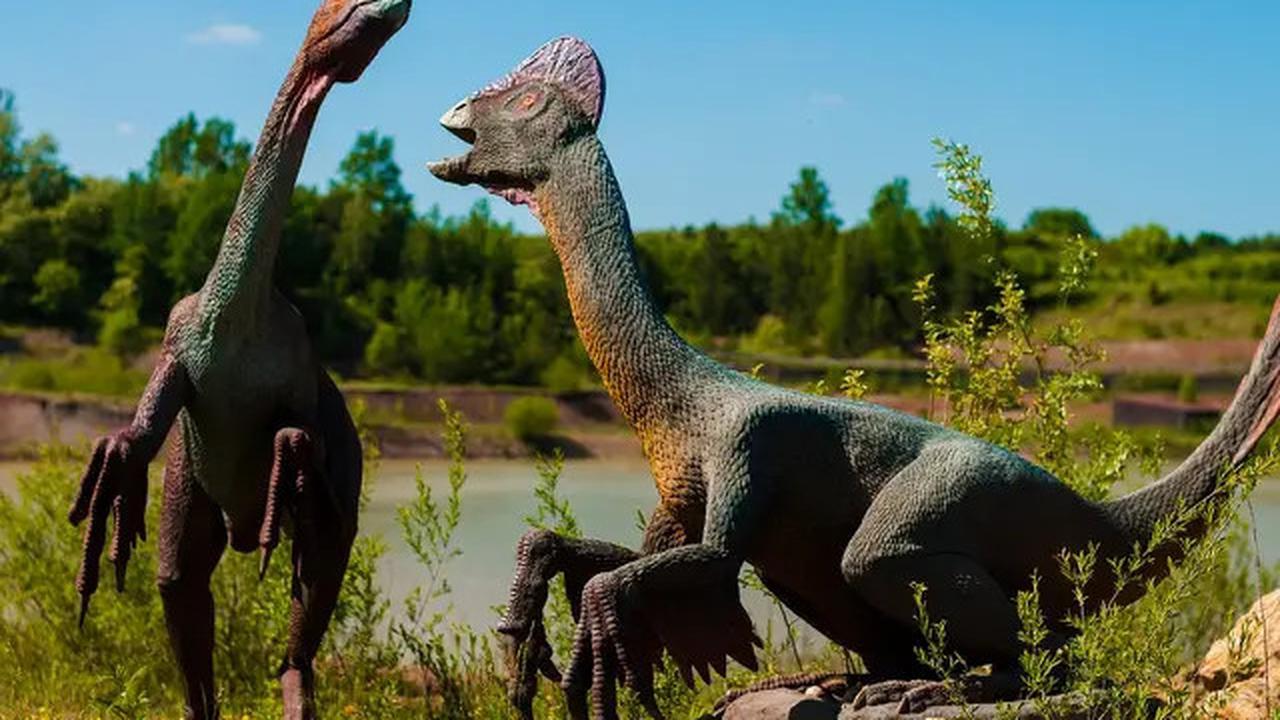 Penemuan Kotoran Makhluk Purba Ungkap Cara Dinosaurus Mendominasi Bumi