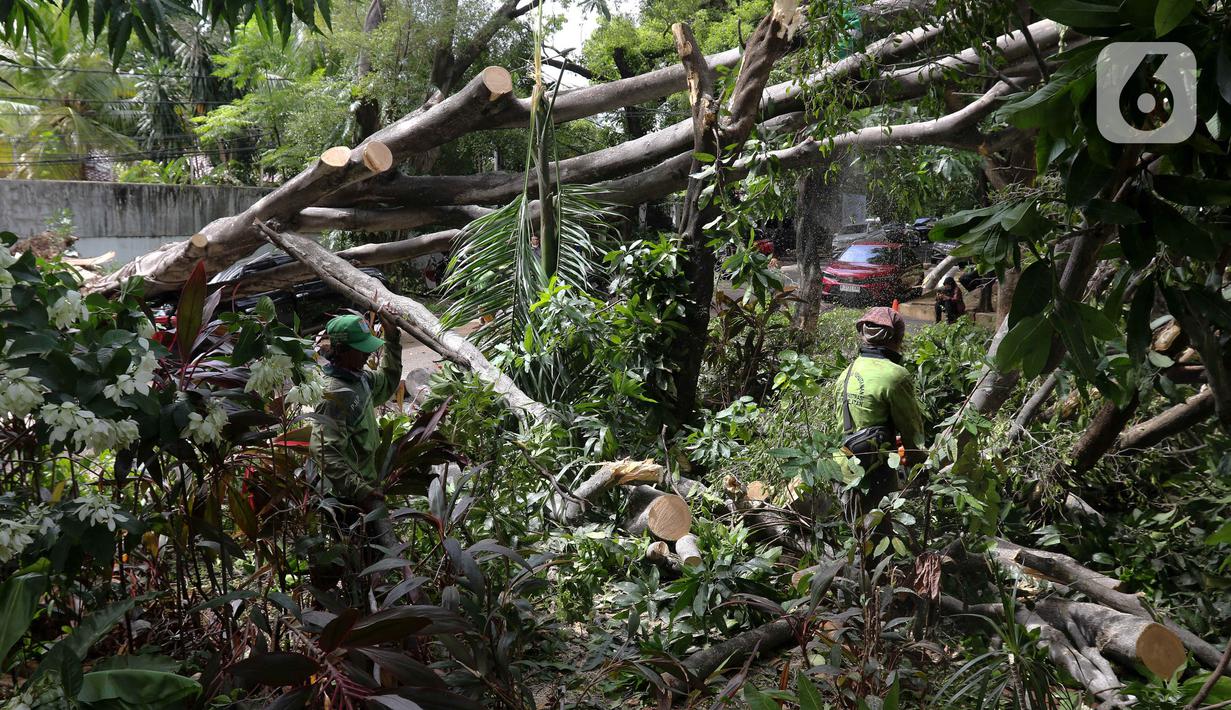 Pecahan kaca mobil terlihat berserakan di jalan tersebut. (Liputan6.com/Herman Zakharia)