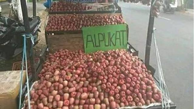 7 Tulisan Absurd Orang Jualan Buah Ini Bikin Bingung