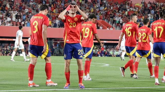 Spanyol vs Irlandia Utara