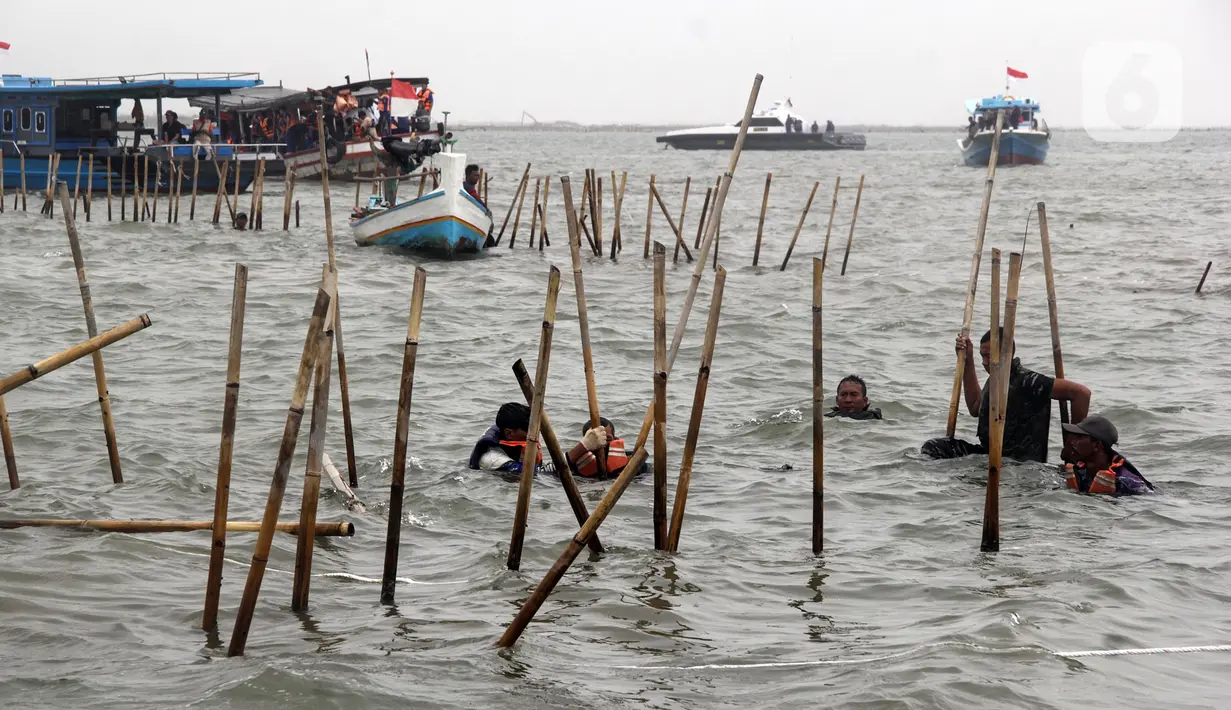 Personel gabungan dari unsur TNI AL, Kementerian Kelautan dan Perikanan, Pemerintah Daerah serta nelayan setempat melakukan pembongkaran pagar laut di kawasan Tanjung Pasir, Tangerang, Banten, Rabu (22/1/2024). (Magang/Liputan6.com/Muhammad Rizal)