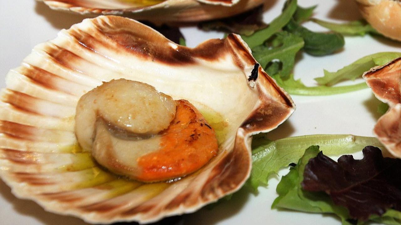 9 Manfaat Kerang Simping untuk Kesehatan, Turunkan Risiko Stroke