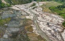Ribuan Hektare Sawah Terdampak Bencana di Sumatra Mulai Ditanami Kembali