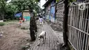 Anak-anak bermain di Kampung Tehyan, Tangerang, Banten, Selasa (9/2/2021). Saat ini, Kampung Tehyan dikenal sebagai salah satu alternatif wisata budaya Tionghoa yang ditunjuk Pemkot Tangerang. (merdeka.com/Iqbal S. Nugroho)