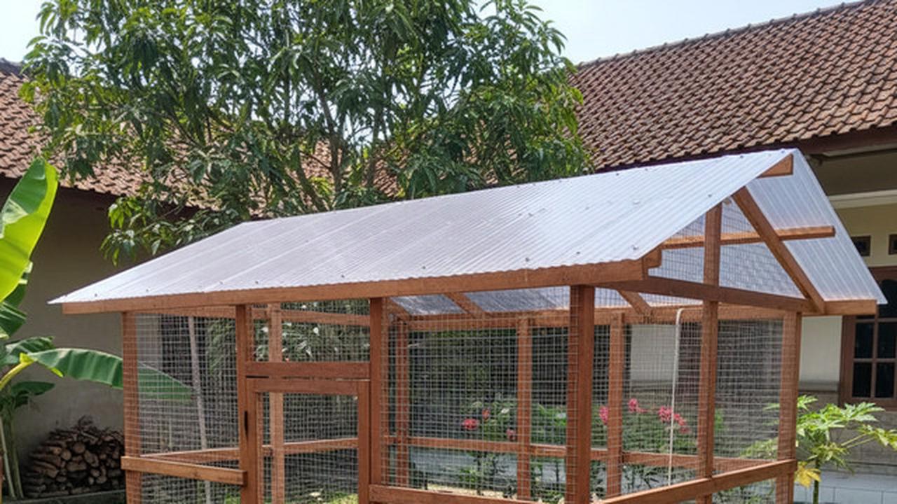 7 Ide Kandang Ternak Ayam 2x2 di Halaman Belakang untuk Ketahanan Pangan Keluarga