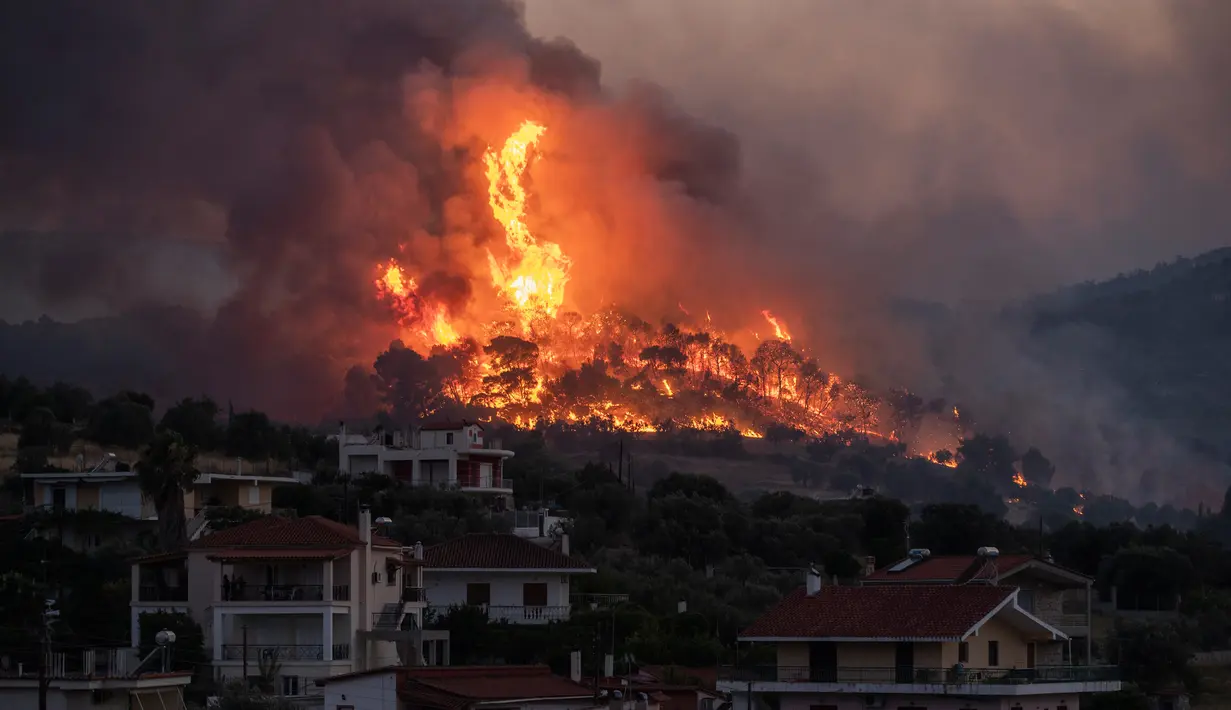 Api membakar di dekat desa Galataki ketika pihak berwenang mengevakuasi tempat di dekat Korintus, Yunani, Rabu, (22/7/2020). Lebih dari 250 petugas pemadam kebakaran, yang didukung oleh pesawat yang jatuh air, berjuang memadamkan kebakaran tersebut. (AP Photo/Petros Giannakouris)