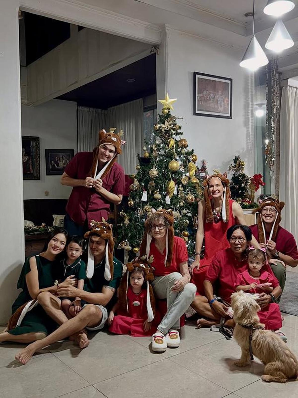 6 Potret Pohon Natal Nadine Chandrawinata di Halaman Rumah, Ditanam Sejak 2022