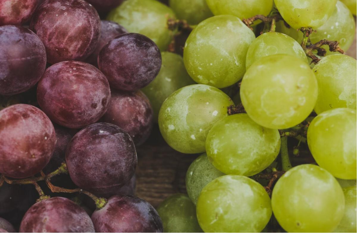Berapa Kalori dan Nutrisi dari Buah Anggur? Kalori yang Perlu Diwaspadai dalam Setiap Suapan