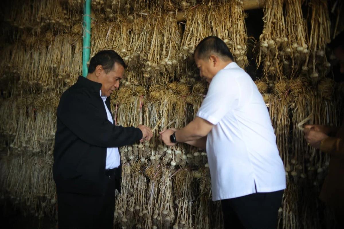 FOTO: NTB Diproyeksikan Jadi Pilar Jagung dan Bawang Putih Nasional