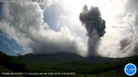 Gunung Lewotobi Laki-Laki Erupsi Dahsyat, Semburkan Abu Vulkanik Setinggi 1.500 Meter