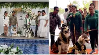 Pernikahan anjing dengan adat Jawa (Sumber: Instagram/jacko.jackie.joyful.jojo)