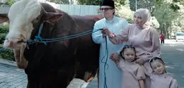 Artis Berfoto Bersama Sapi Kurban Mereka saat Iduladha 2026. [@aurelie.hermansyah]