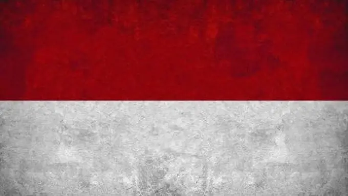 Merah Putih, lambang Bendera Indonesia (Instagram/arielnoah)