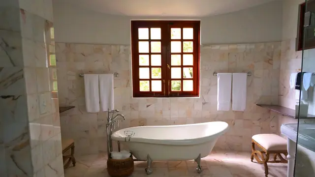 5. Letakkan Tanaman Hijau