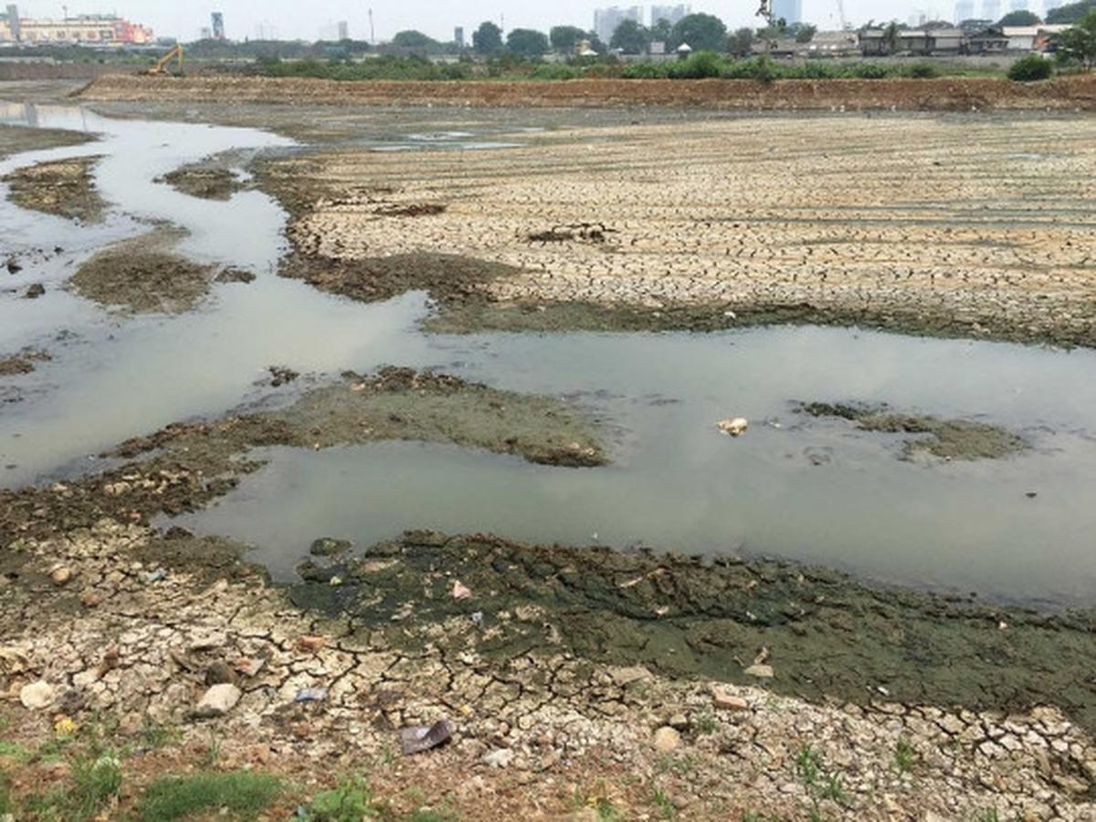 Kondisi Waduk Ria Rio yang kering kerontang akibat kemarau panjang