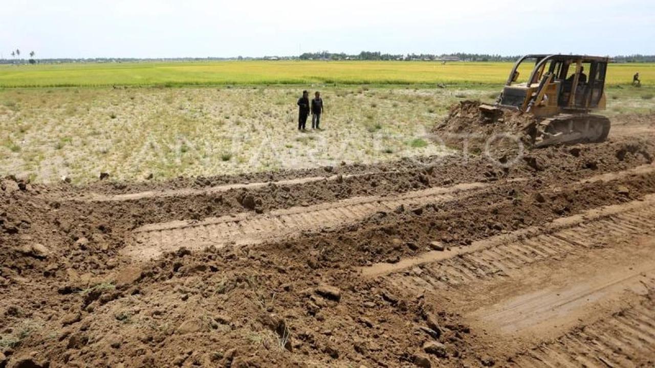 Pemkab Aceh Tamiang Pacu Rehabilitasi Sawah Pascabencana, Target Rampung Juli 2026