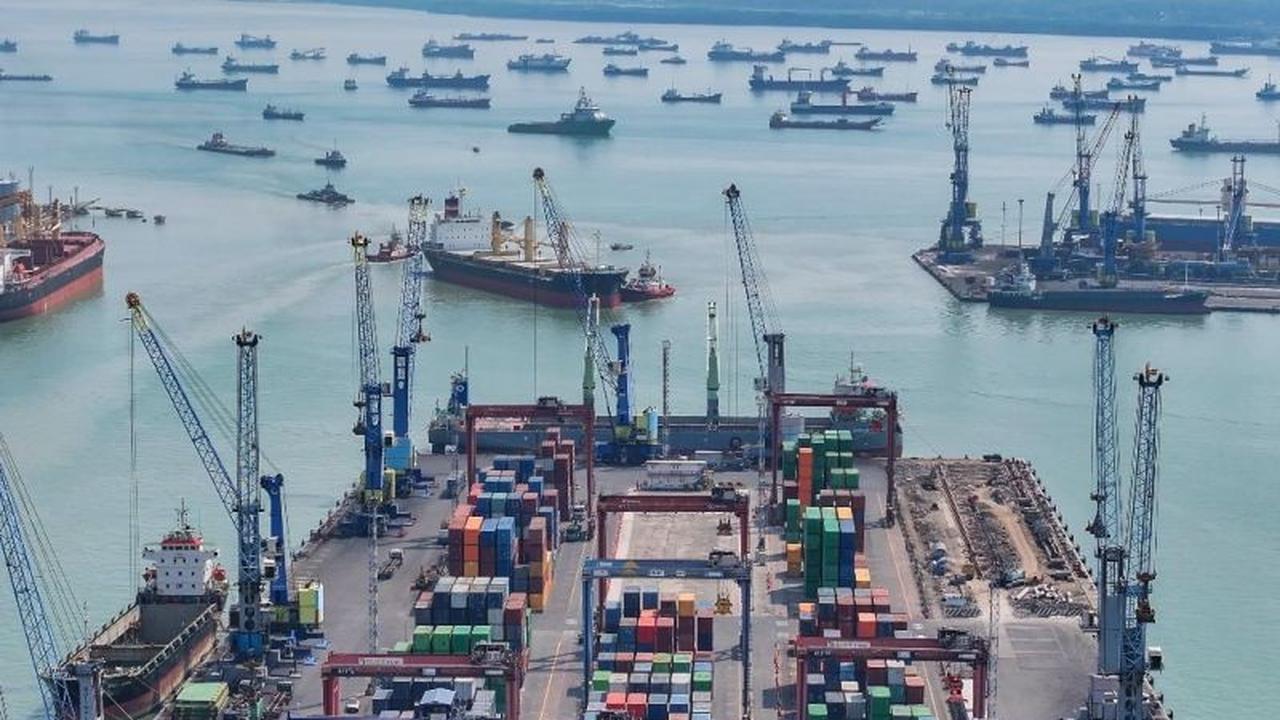 Inovasi Unik: Nelayan Teluk Lamong Kembangkan Apartemen Kepiting Soka, Tingkatkan Pendapatan dan Jaga Ekosistem