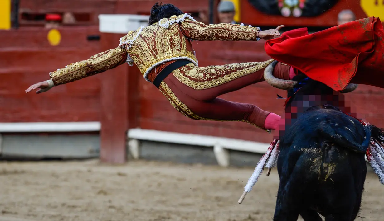 Matador asal Peru Andres Roca Rey beraksi festival adu banteng Acho di Lima, Peru, Minggu (4/12). (AFP PHOTO / Ernesto Benavides)