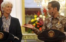 Bos IMF puji keberanian Presiden Jokowi cabut subsidi premium