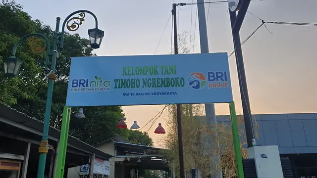 Dari Gang Sempit Jadi Kebun Sayur, Kelompok Tani Timoho Ngeremboko Rasakan Manfaat BRInita