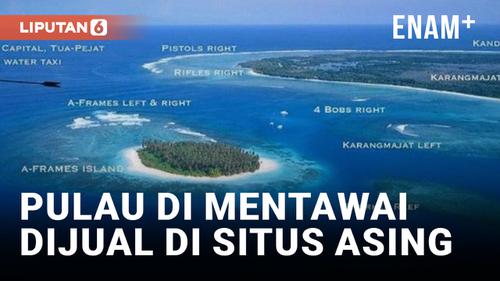 VIDEO: Waduh! Pulau Panangalat di Mentawai Dijual di Situs Asing
