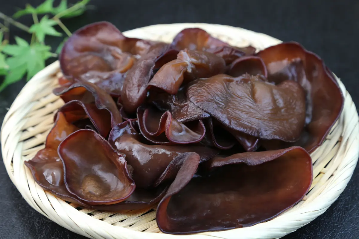 Jamur Kuping Hitam