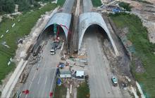 Canggih, IKN Bakal Punya Jembatan Khusus untuk Satwa, Begini Bentuknya