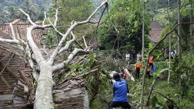Pepohonan bertumbangan dan menimpa rumah penduduk akibat angin kencang dipicu badai cempaka. (Foto: Liputan6.com/Muhamad Ridlo)