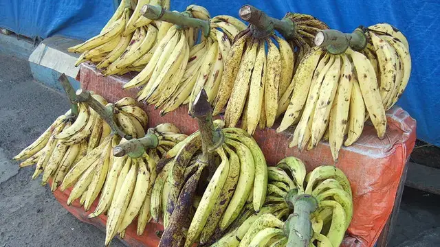 Cara Membuat Pisang Goreng Tanduk Renyah dan Sehat, Tanpa Bahan Tambahan