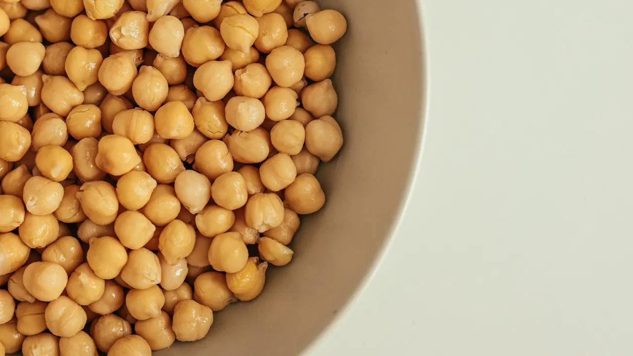Contoh ilustrasi Chickpea atau Kacang Arab