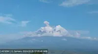 Ilustrasi Gunung Semeru Erupsi (Istimewa)